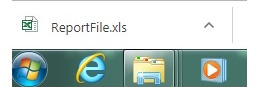 Excel file